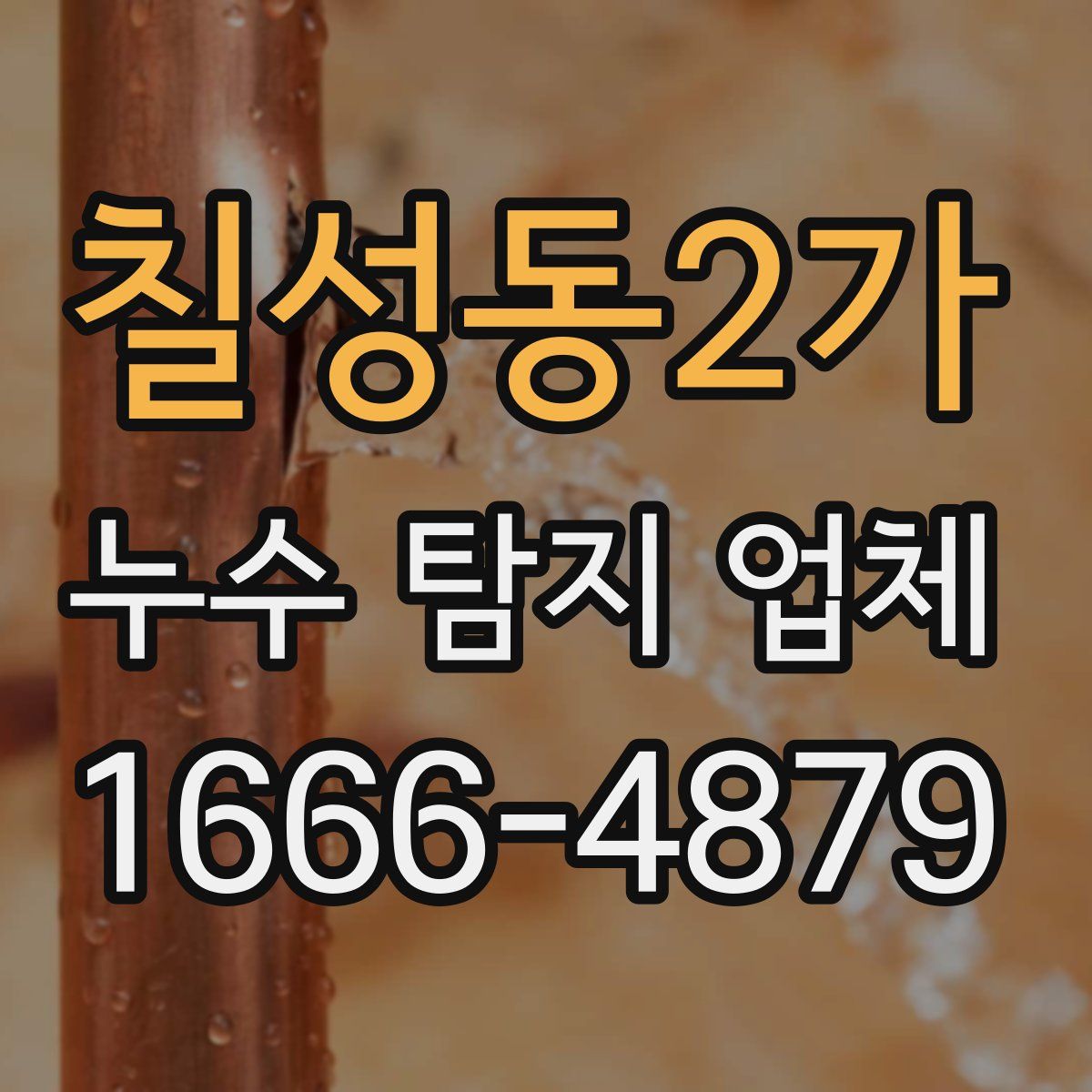 칠성동2가 누수 탐지 업체