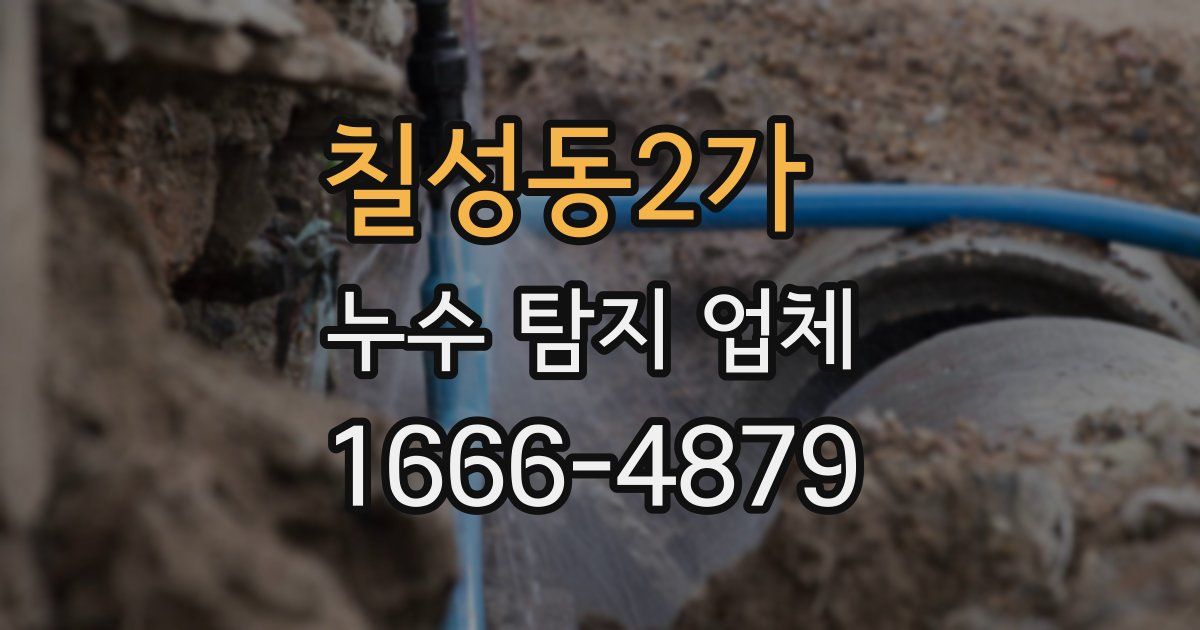칠성동2가 누수 탐지 업체