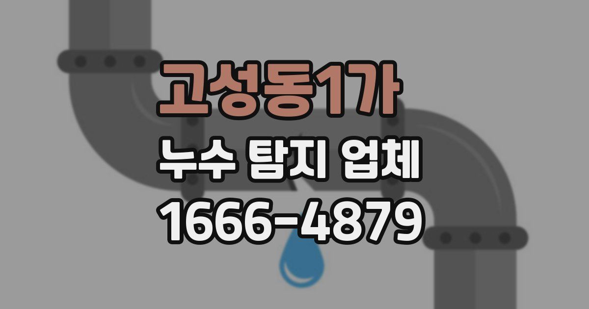 고성동1가 누수 탐지 업체