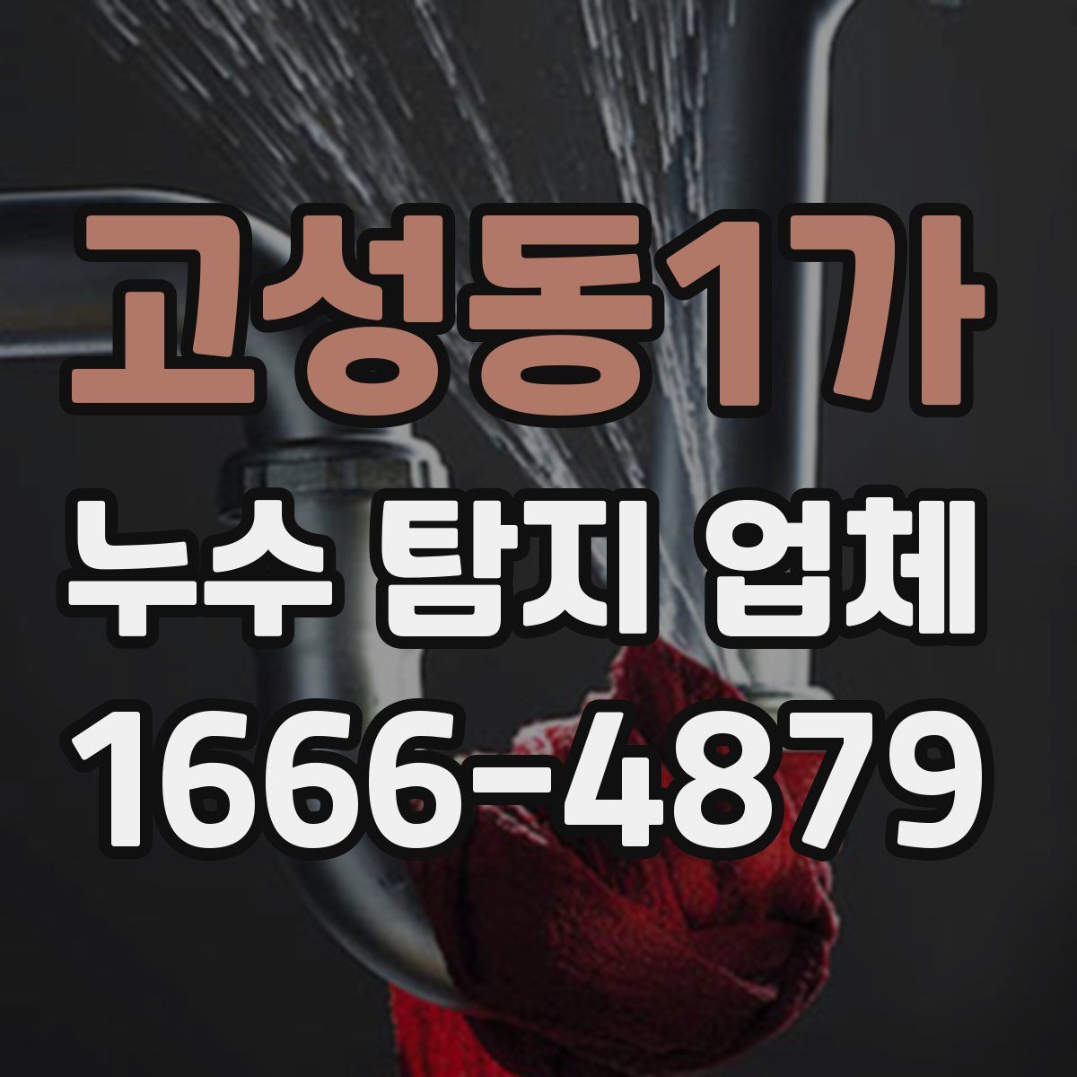 고성동1가 누수 탐지 업체