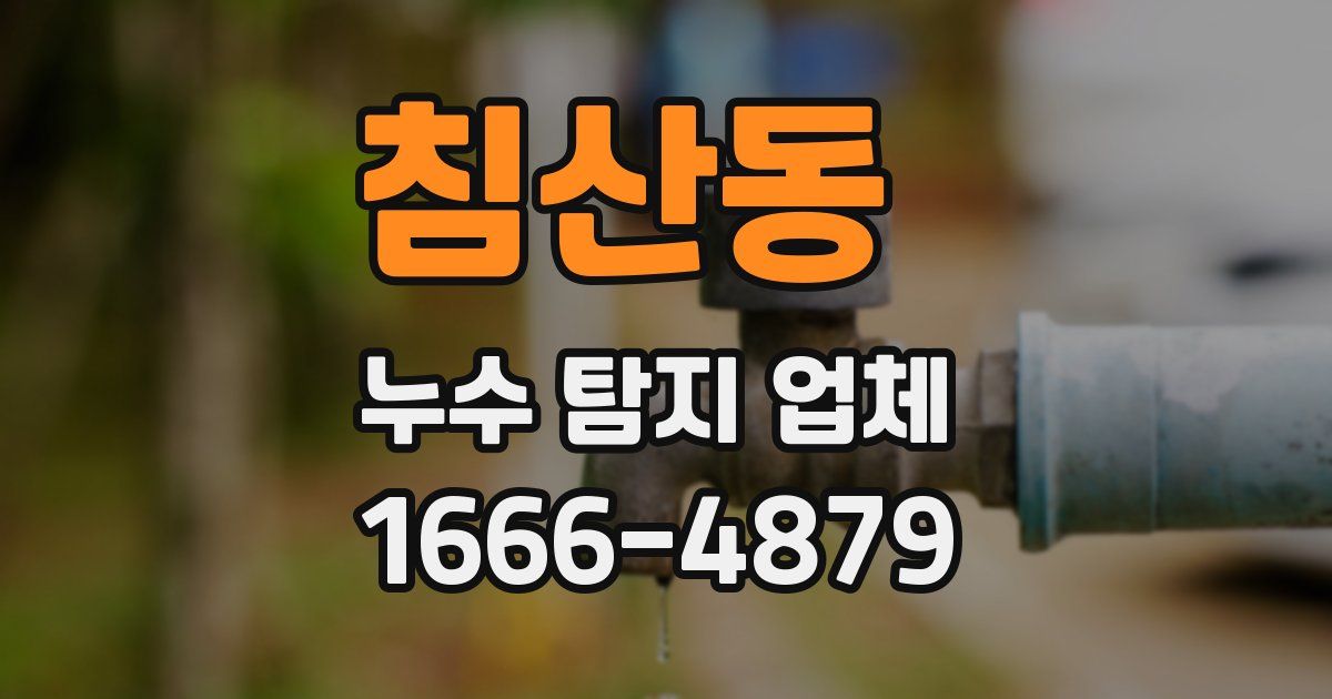 침산동 누수 탐지 업체