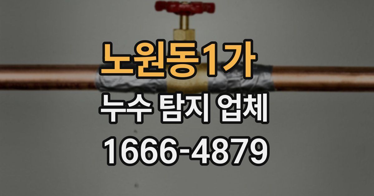노원동1가 누수 탐지 업체