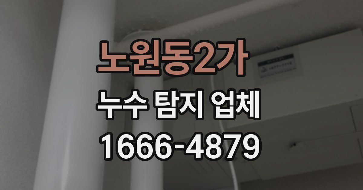 노원동2가 누수 탐지 업체