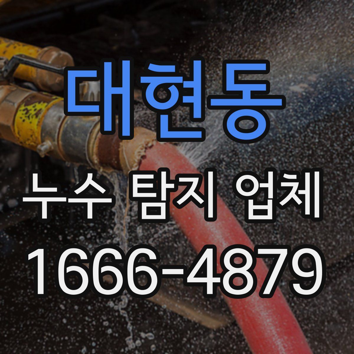대현동 누수 탐지 업체
