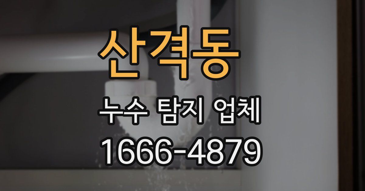 산격동 누수 탐지 업체