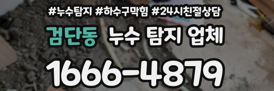 검단동 누수 탐지 업체