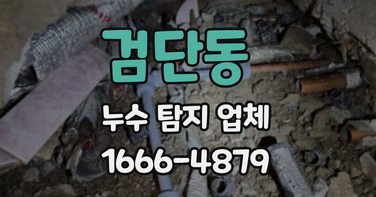 검단동 누수 탐지 업체