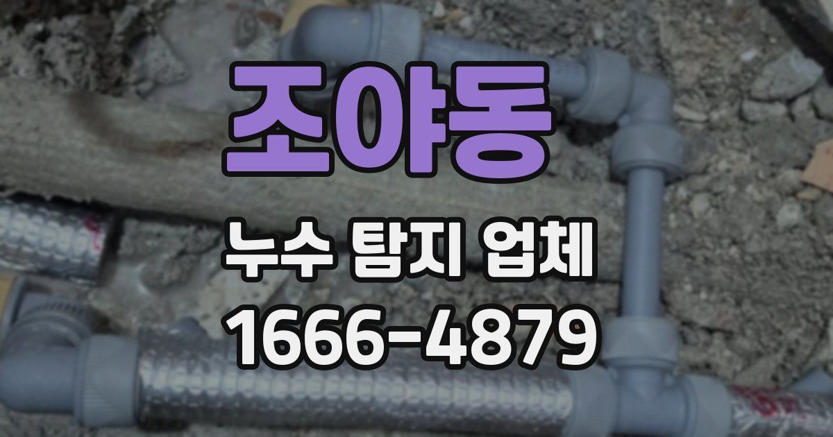 조야동 누수 탐지 업체