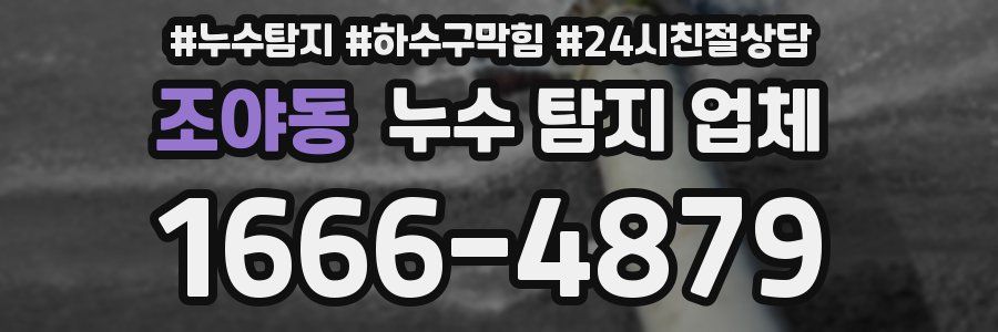 조야동 누수 탐지 업체