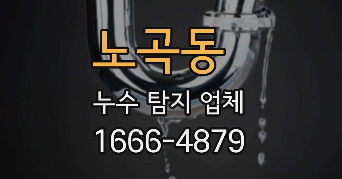 노곡동 누수 탐지 업체
