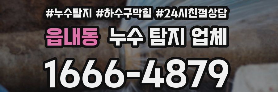 읍내동 누수 탐지 업체