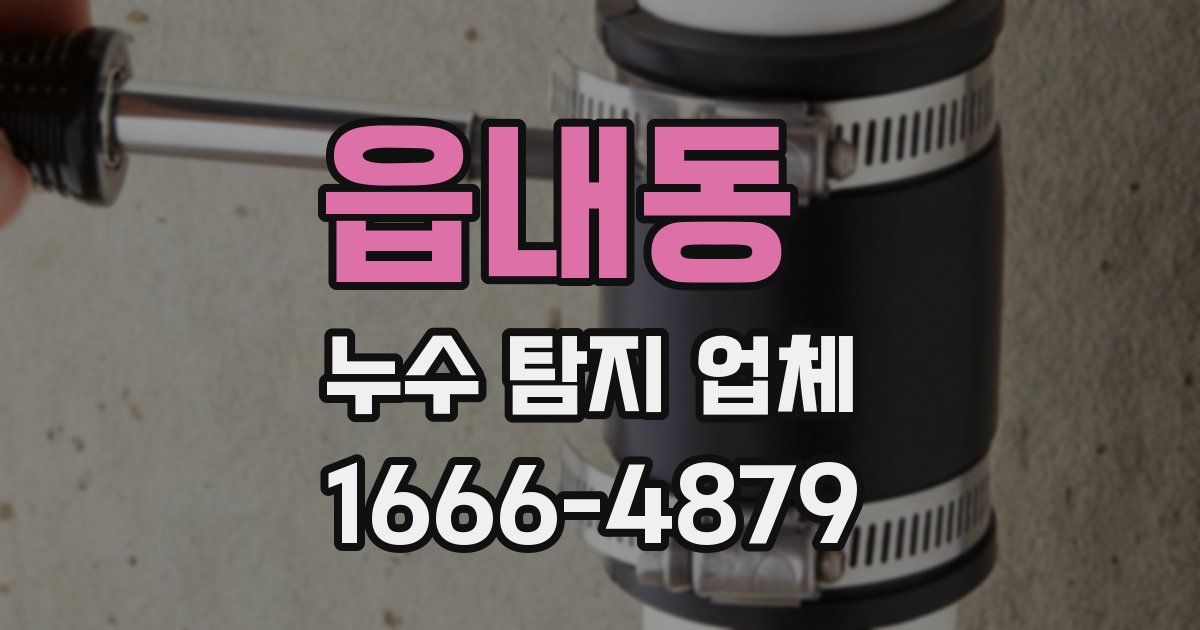 읍내동 누수 탐지 업체