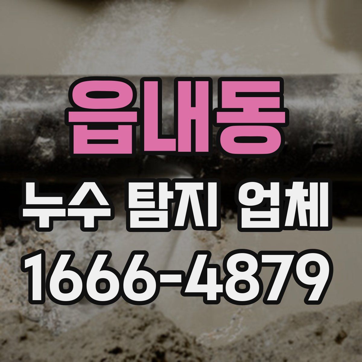 읍내동 누수 탐지 업체