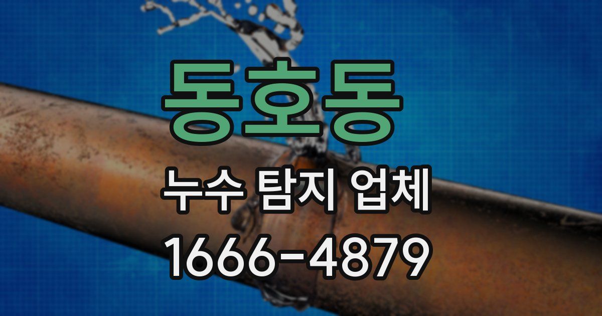 동호동 누수 탐지 업체