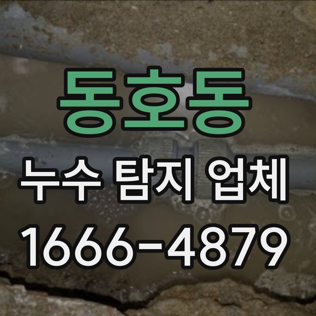동호동 누수 탐지 업체