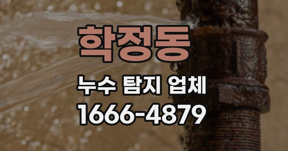 학정동 누수 탐지 업체