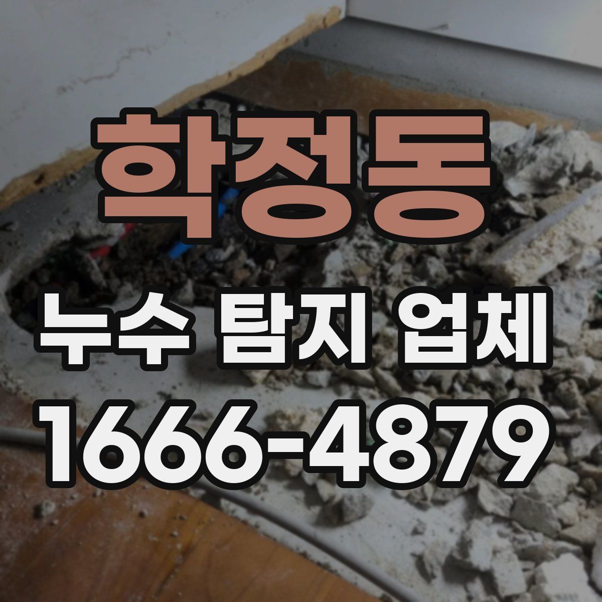 학정동 누수 탐지 업체