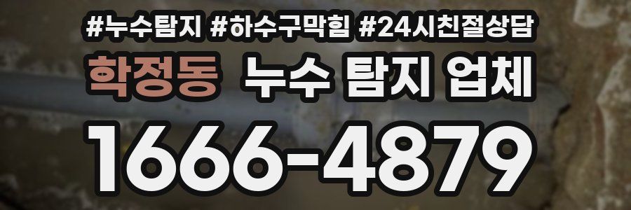 학정동 누수 탐지 업체
