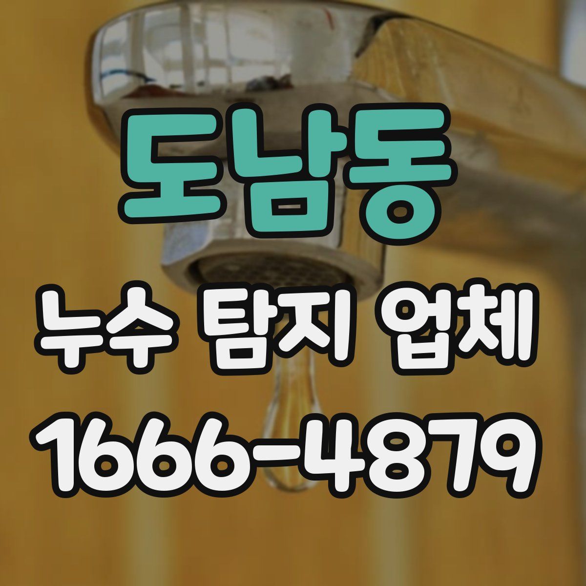 도남동 누수 탐지 업체