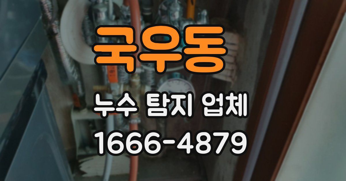 국우동 누수 탐지 업체