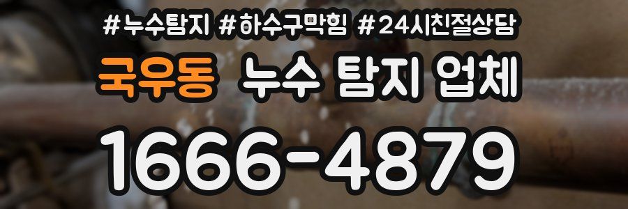 국우동 누수 탐지 업체