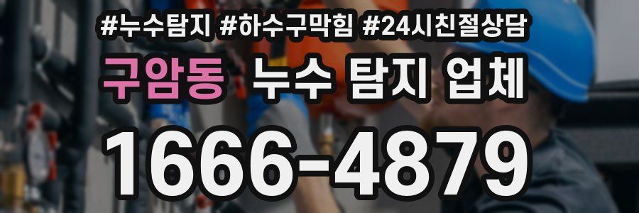 구암동 누수 탐지 업체