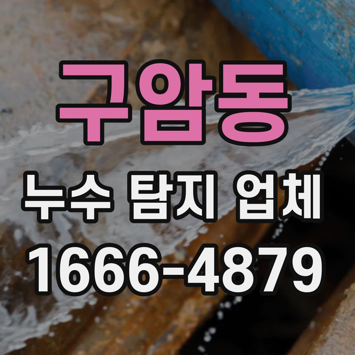 구암동 누수 탐지 업체