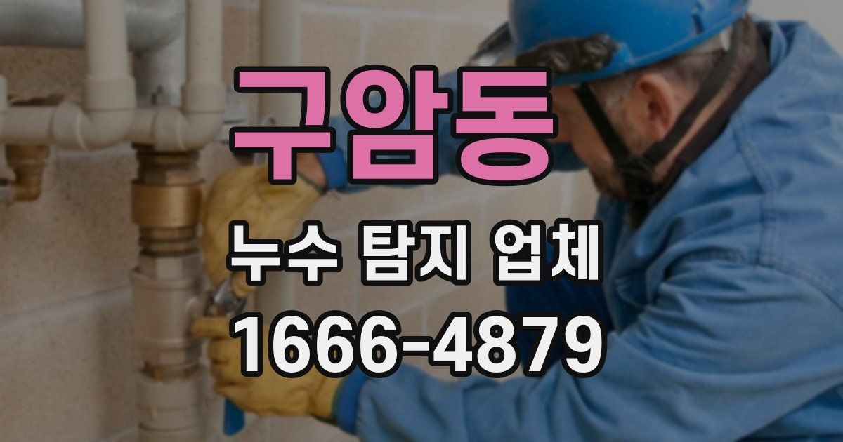 구암동 누수 탐지 업체