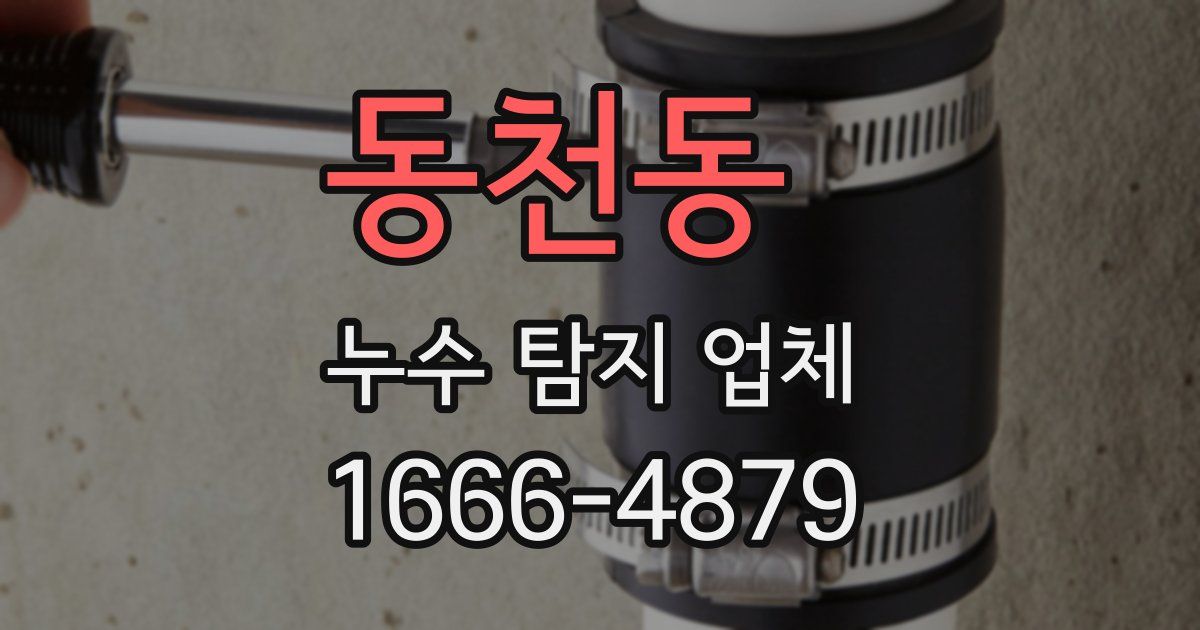 동천동 누수 탐지 업체