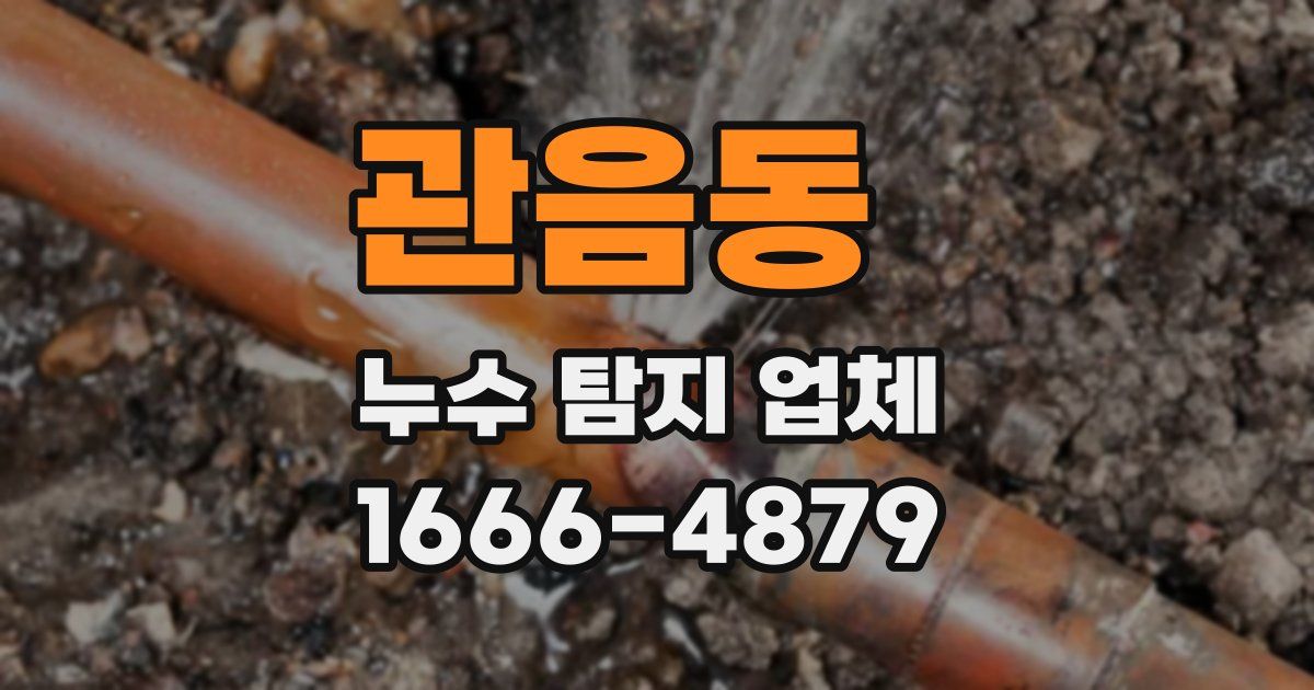 관음동 누수 탐지 업체
