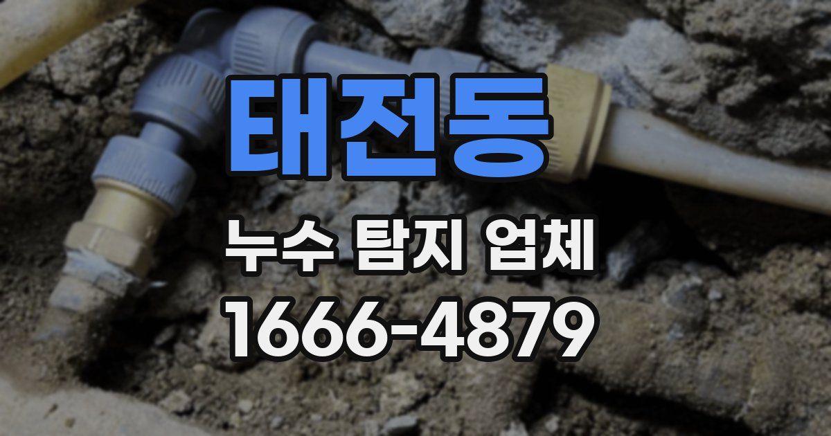 태전동 누수 탐지 업체