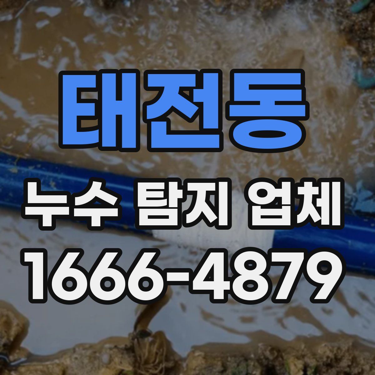 태전동 누수 탐지 업체