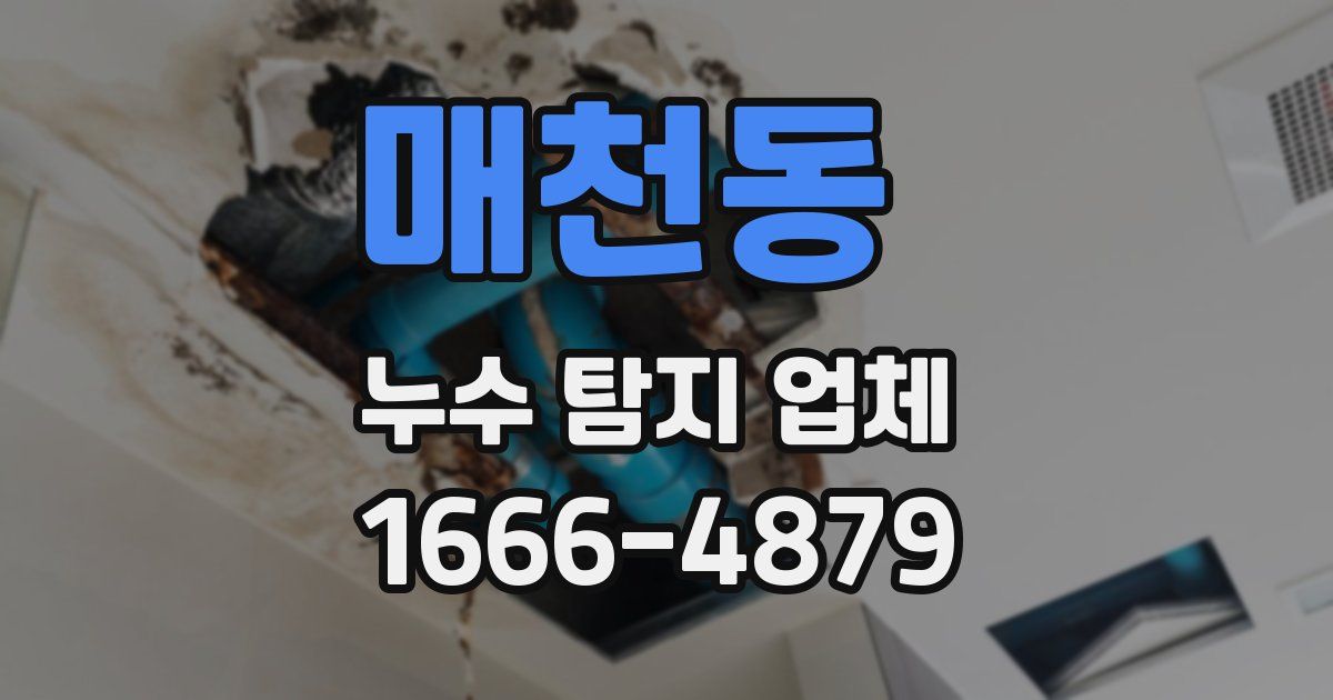 매천동 누수 탐지 업체