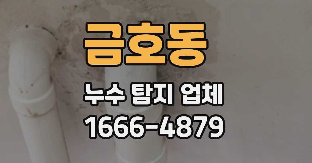 금호동 누수 탐지 업체