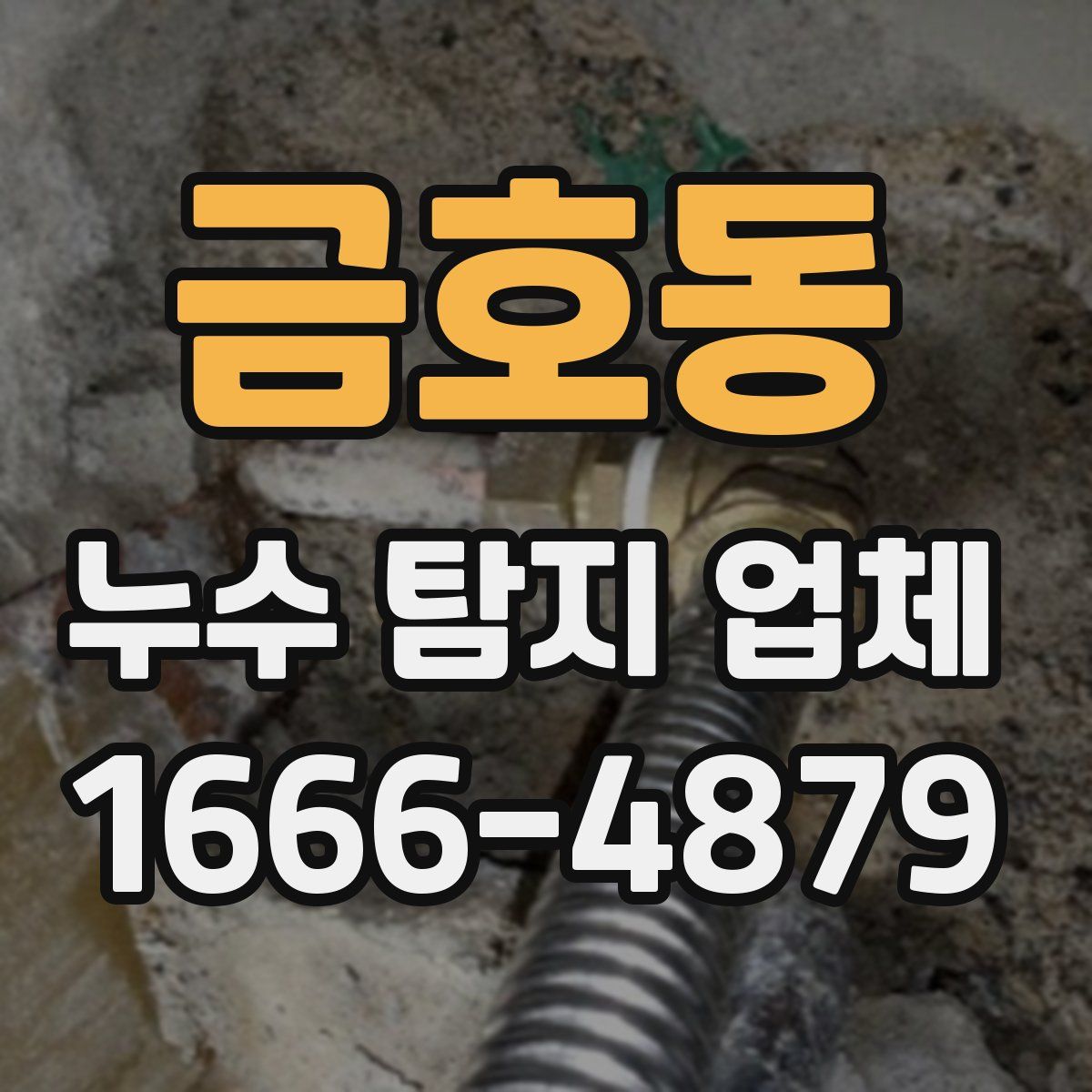 금호동 누수 탐지 업체