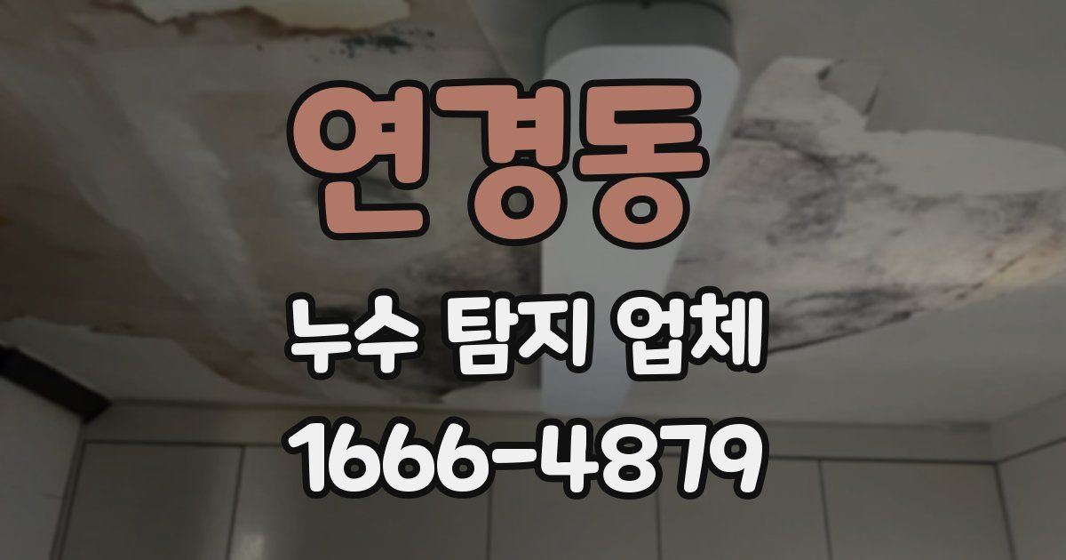 연경동 누수 탐지 업체