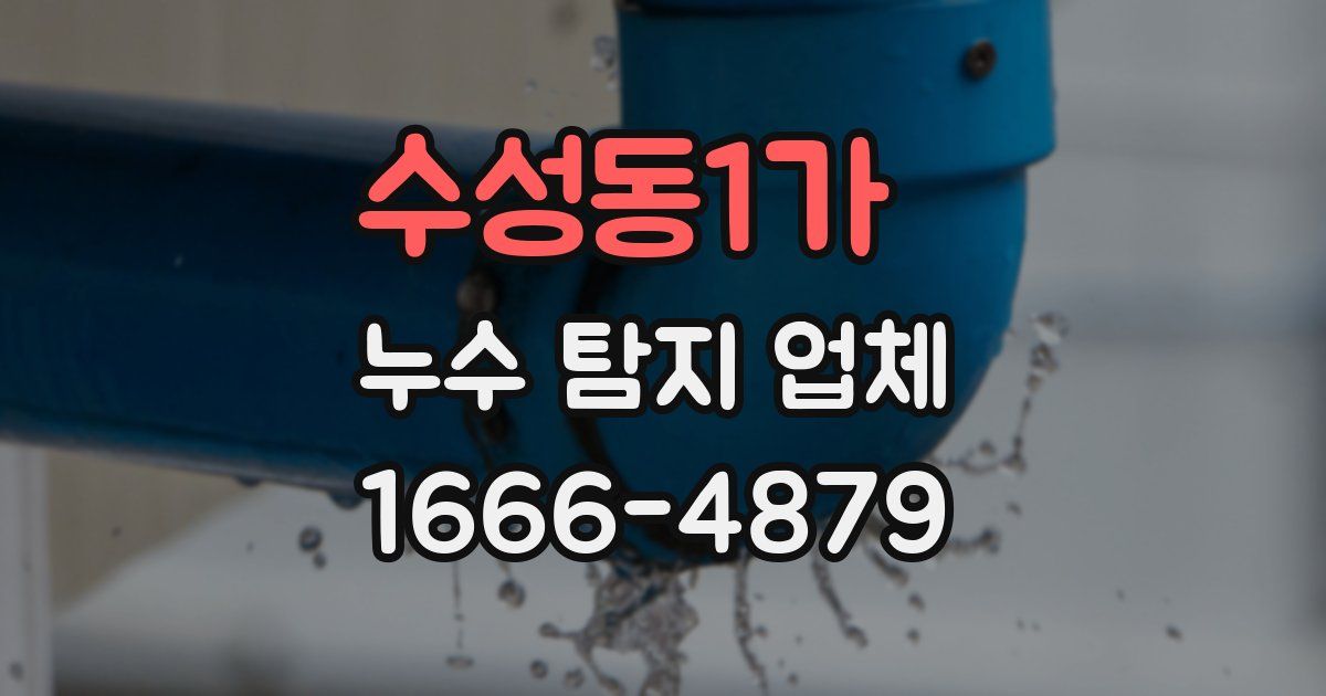 수성동1가 누수 탐지 업체