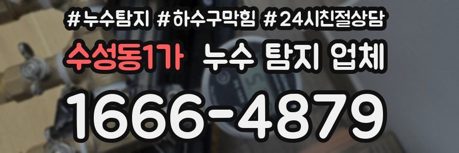 수성동1가 누수 탐지 업체