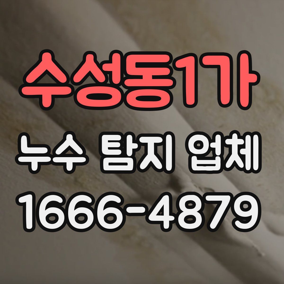 수성동1가 누수 탐지 업체
