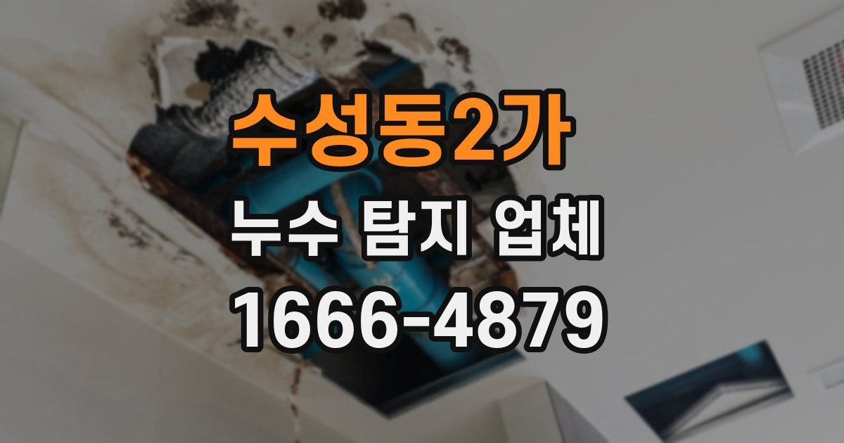 수성동2가 누수 탐지 업체