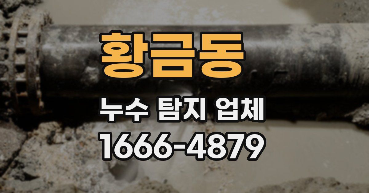 황금동 누수 탐지 업체
