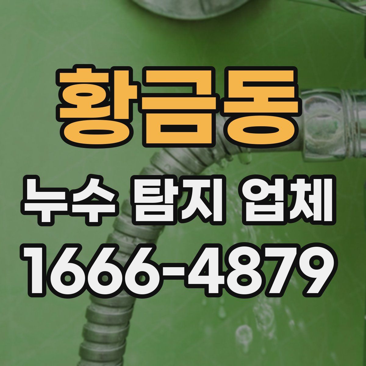 황금동 누수 탐지 업체