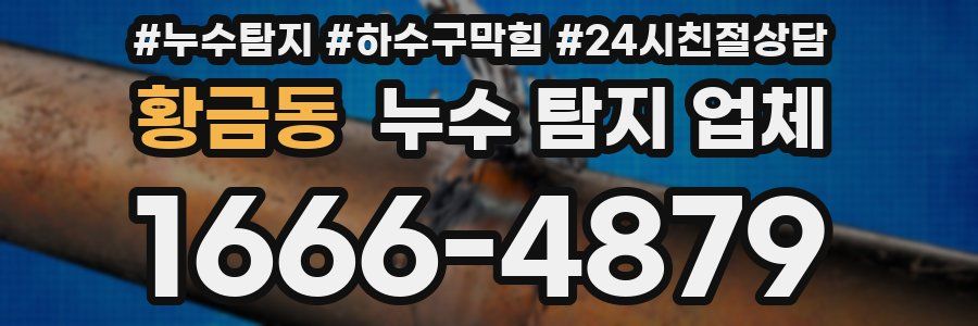 황금동 누수 탐지 업체