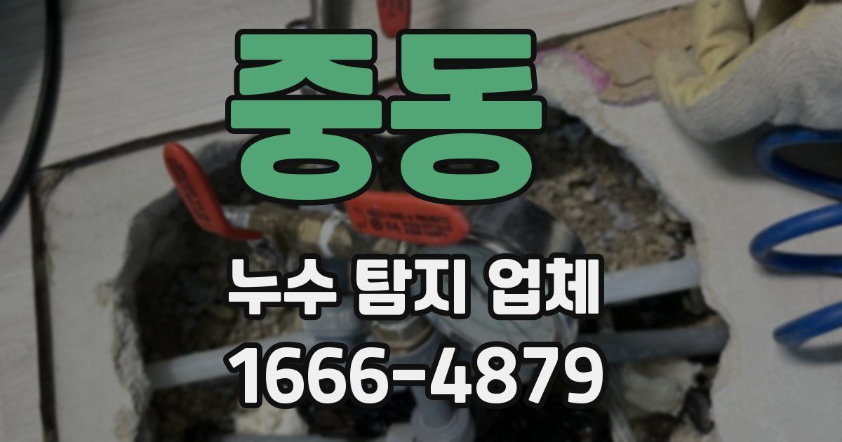 중동 누수 탐지 업체