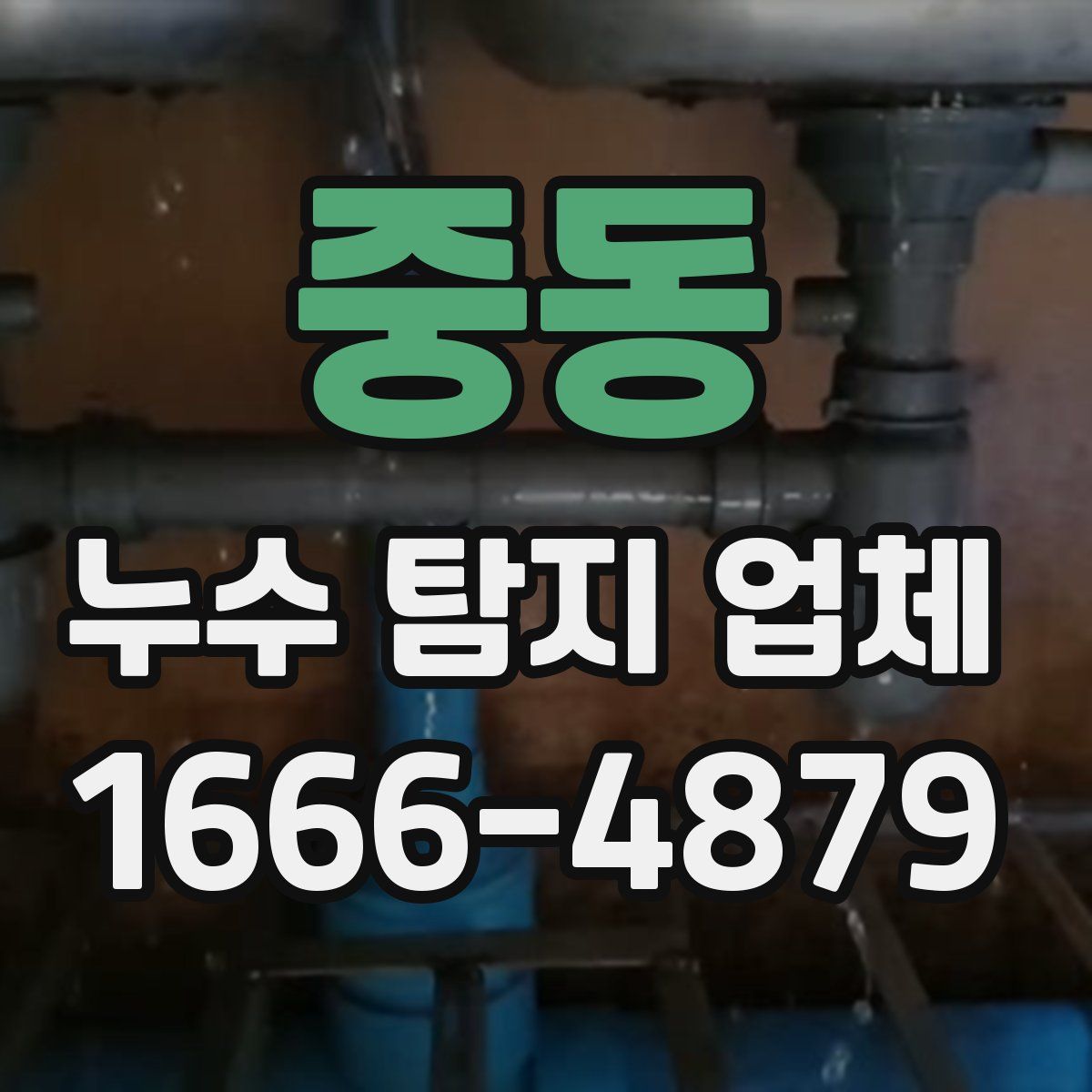 중동 누수 탐지 업체