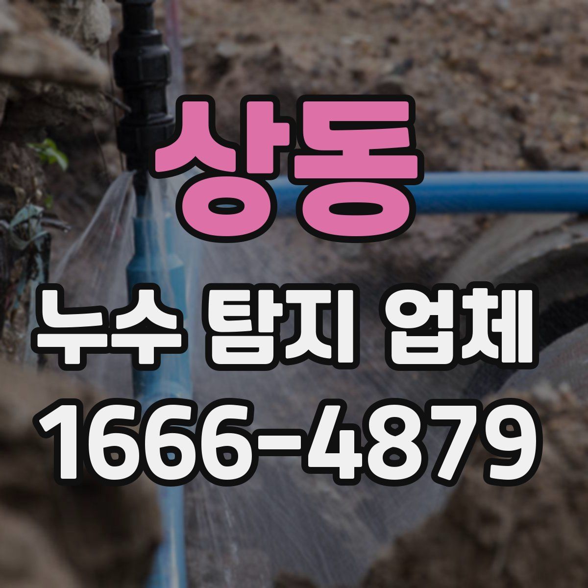 상동 누수 탐지 업체