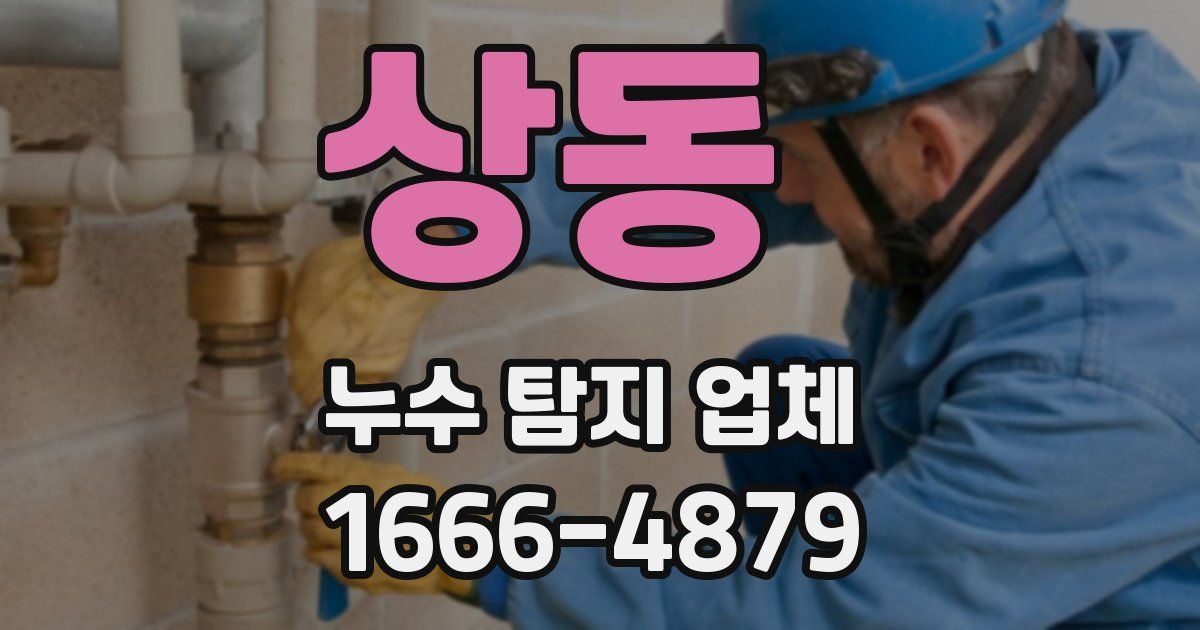 상동 누수 탐지 업체