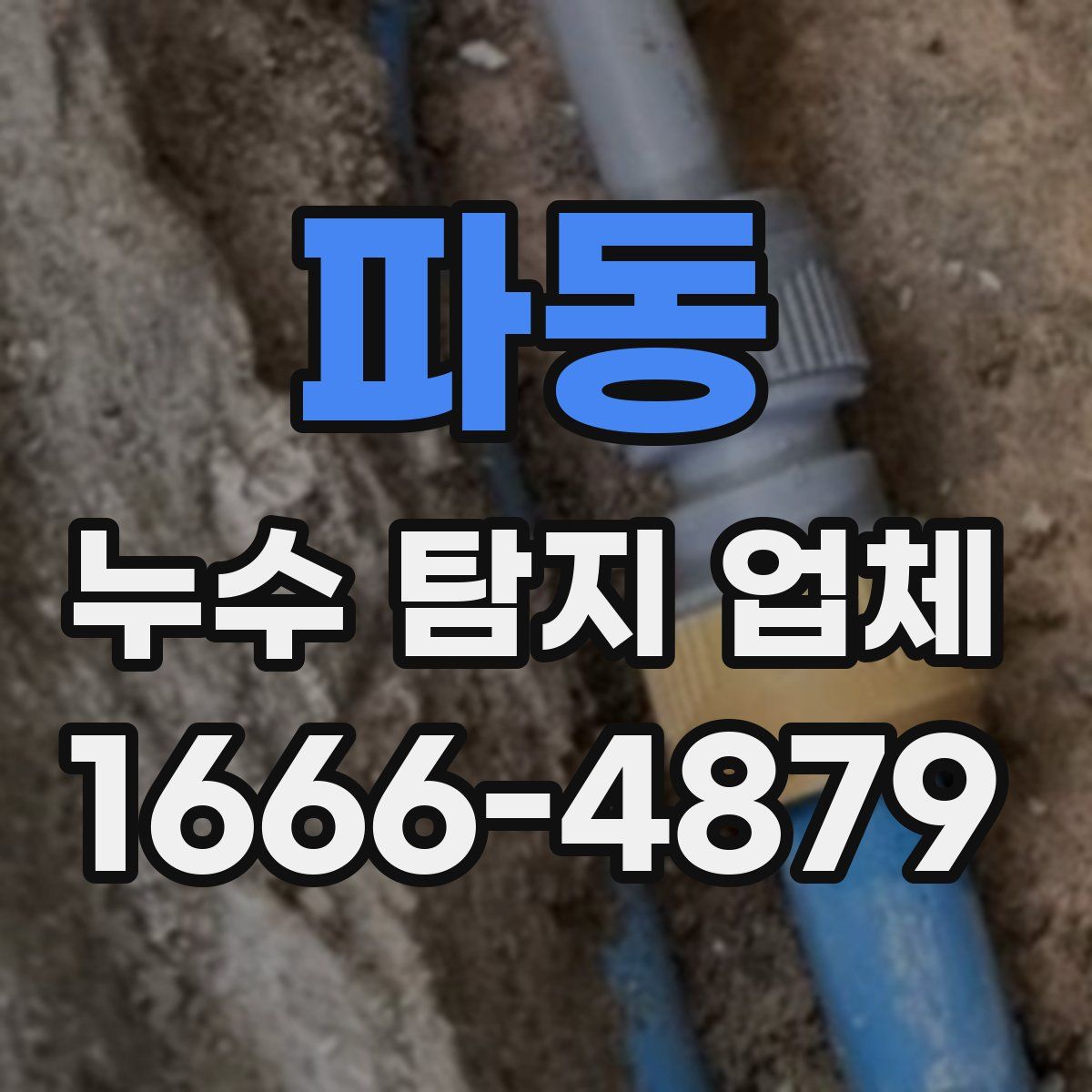 파동 누수 탐지 업체