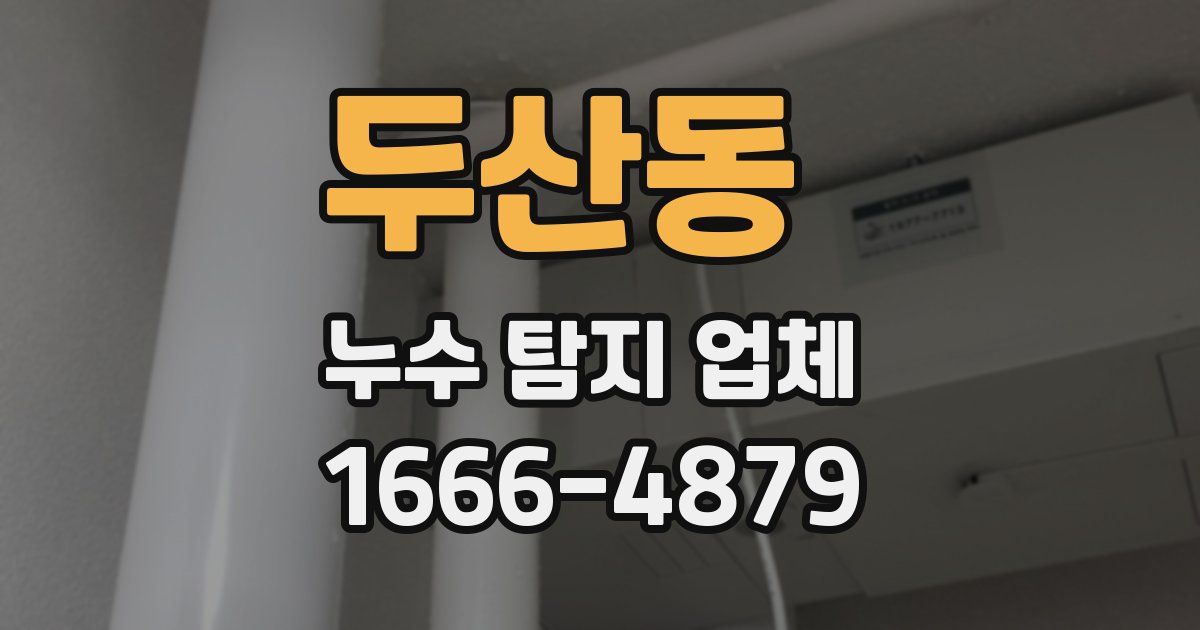 두산동 누수 탐지 업체