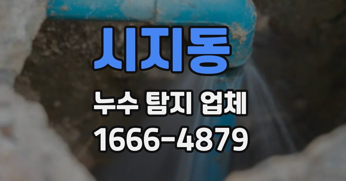 시지동 누수 탐지 업체